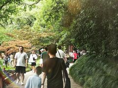 -句容茅山景区