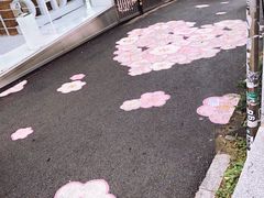 -梨大女人街