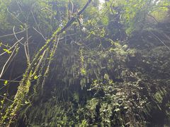 -海口火山口国家地质公园