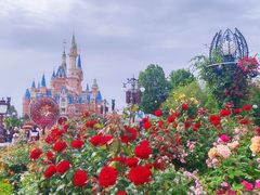 -上海迪士尼度假区