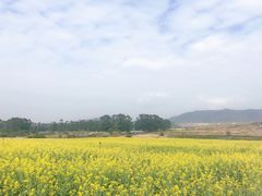 -光明小镇欢乐田园