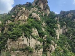 -大岭沟猕猴桃谷风景区