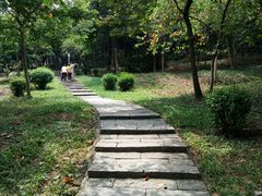 -天河儿童公园