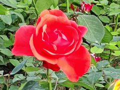 -莲池书院博物馆