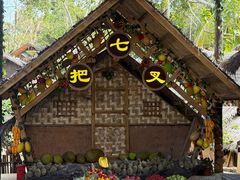 -海南槟榔谷黎苗文化旅游区