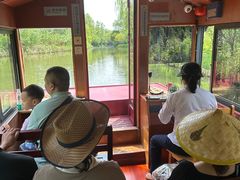 -溱湖国家湿地公园