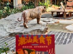 -白虎自助餐厅·真老虎·景观自助餐厅(广州长隆酒店)