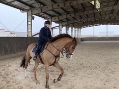 -松声马术俱乐部