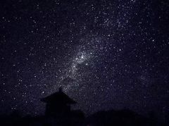 -巴厘岛黄金金兔咖啡工厂