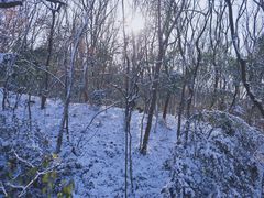 -紫金山山顶公园
