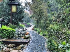 -明月山天沐温泉度假村