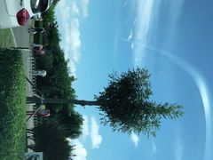 -东疆建设开发纪念公园