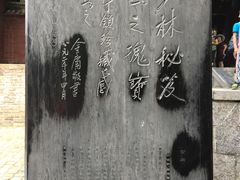 景点-少林寺景区