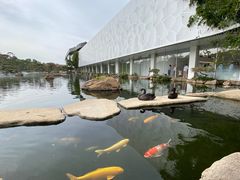 -罗红摄影艺术馆