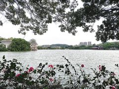 -惠州西湖