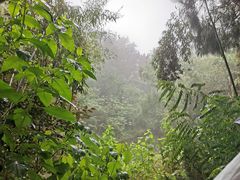 -日照海滨国家森林公园