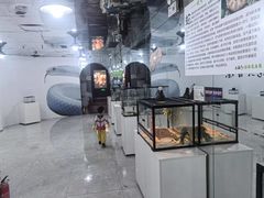 -上海昆虫博物馆