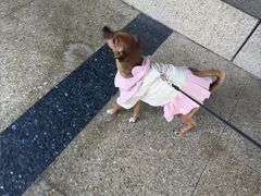 -锡笼记·无锡小笼(新明路店)