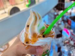 -Salud撒露欧洲冻酸奶(北苑上品店)