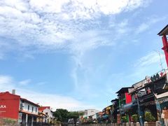 -马六甲鸡场街