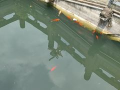 -温江公园
