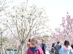 -萨莉亚意式餐厅(特力时尚汇店)