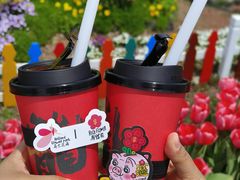 -荷兰花海