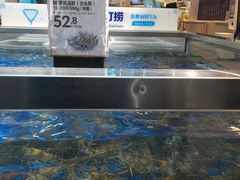 -盒马X会员店(王府井奥莱UP TOWN店)