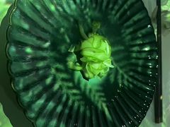 -良设夜宴 LIANGSHE