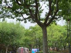 -徐家汇源景区-衡山公园