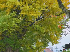-医王山·飞騨国分寺