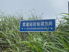 -梧桐山风景名胜区