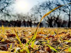 -长春公园(普阳街道)