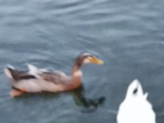 -郭守敬纪念馆