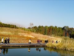 -溱湖国家湿地公园