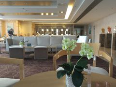 -石家庄诺华廷酒店(万象城湾里庙步行街店)