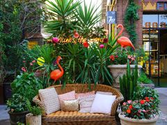 -The Grounds of Alexandria
