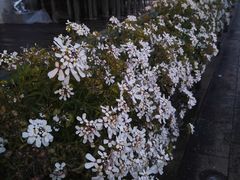 -圣马尔谷圣殿宗主教座堂