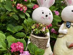 -上海共青森林公园