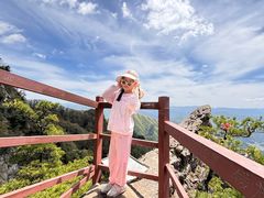 -王顺山国家森林公园