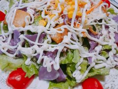 蔬菜芝士沙拉-食彩美印度特色美食餐厅·印度料理