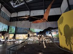 -湖南省地质博物馆