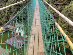 -云南屏边大围山国家公园