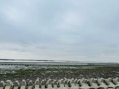 -南汇嘴观海公园