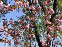 -昆山城市生态森林公园