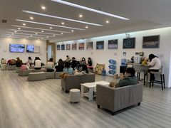 -中央芭蕾舞团·中芭艺蕾(酒仙桥明星校区)