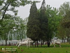 -迎泽公园