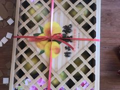 -南汇新场正宗水蜜桃采摘