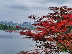 -观山湖公园