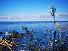 -龙头岩(Dragon Head Rock)